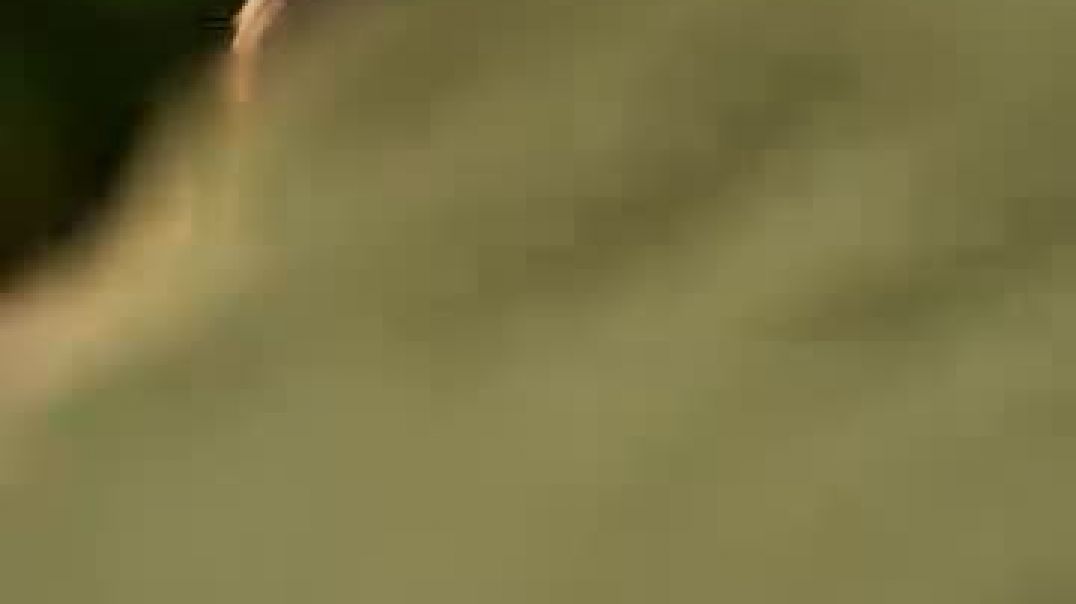 ⁣short movie story like share comment subscribe 📸📸