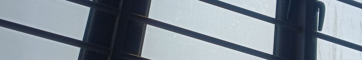 118398850638506036173 