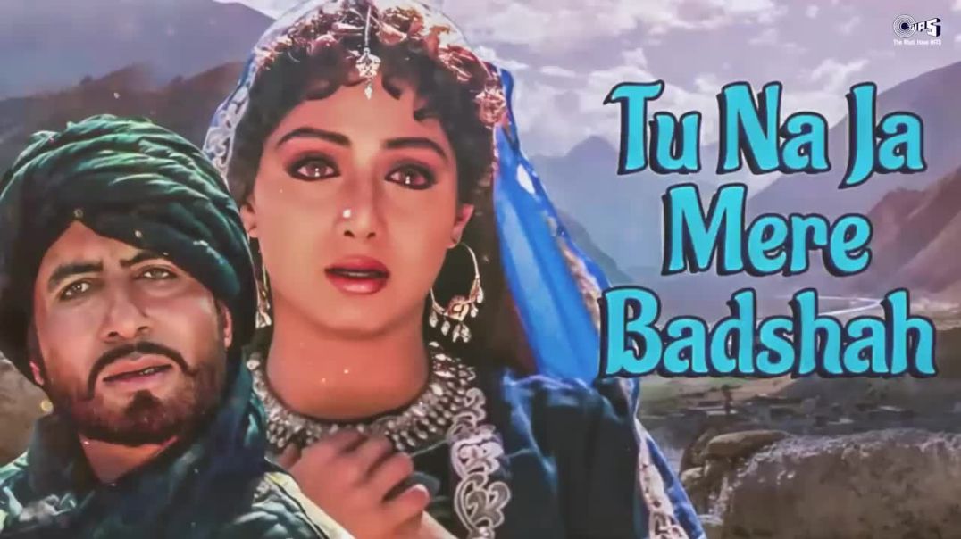 ⁣तू न जा मेरे बादशाह - Tu Na Jaa Mere Baadshah - Full Audio _ Khuda Gawah _ Super Hit Bollywood Song