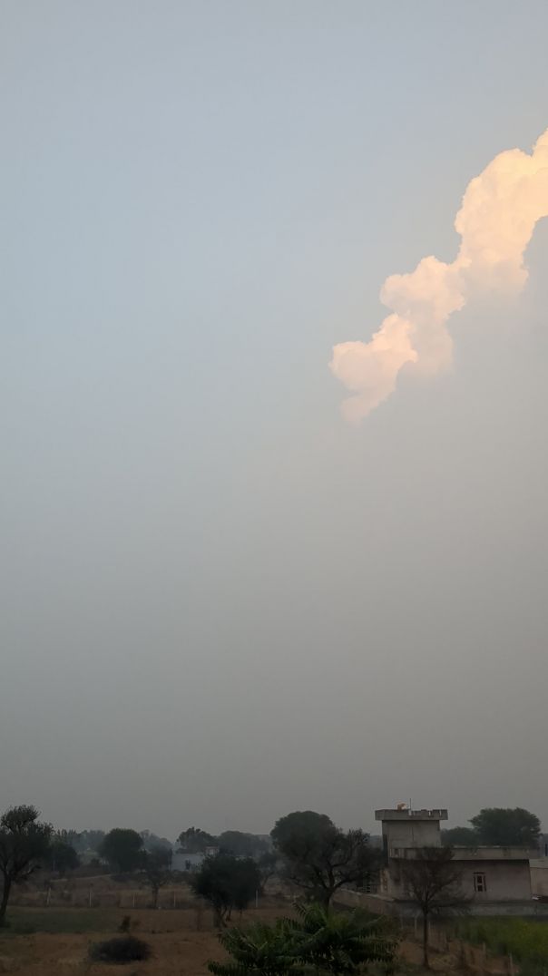 PXL_20260127_122040197