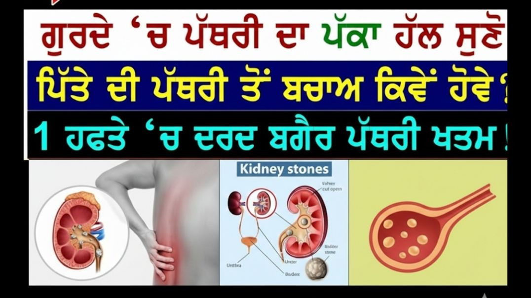 ਗੁਰਦੇ(kidney)ਦੇ ਦਰਦ ਦਾ ਘਰੇਲੂ ਤੇ ਦੇਸੀ ਇਲਾਜ਼
