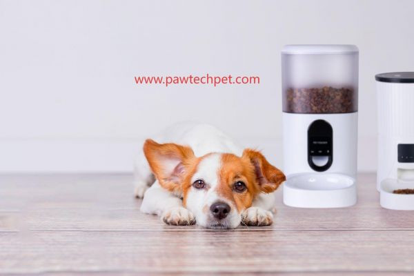 How Pawtechpet Pet Smart Appliances Fit Into Everyday Home Routines