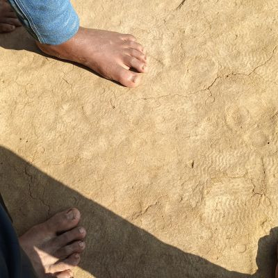 110616755737860618970 