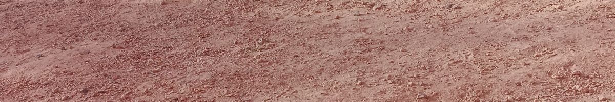 112235368212861996065 