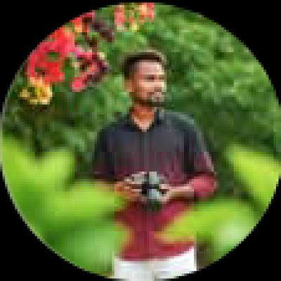 117375846456461136088 