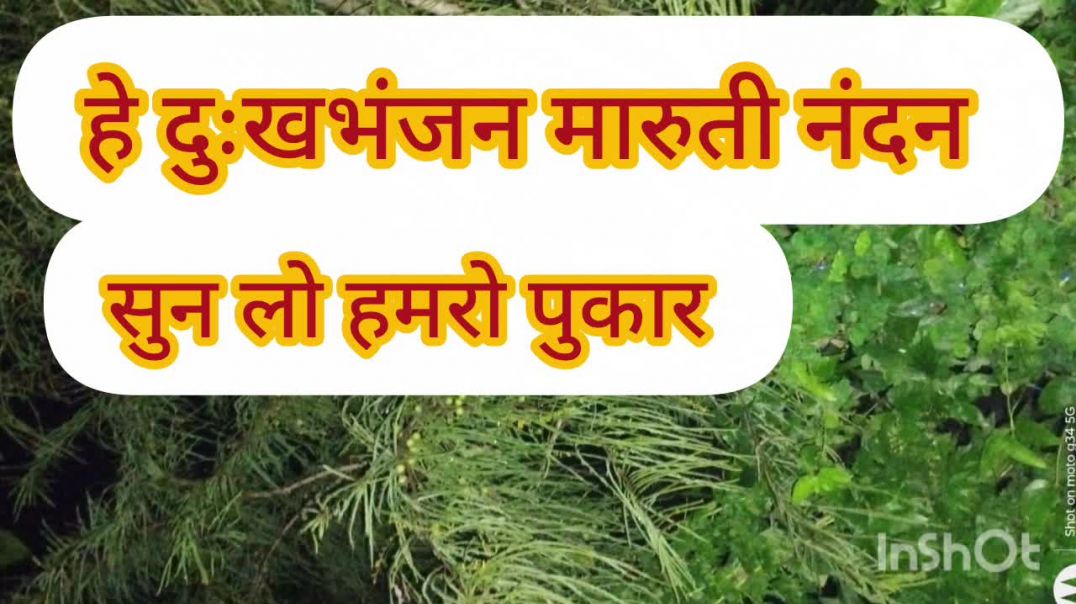 ⁣हे दुःखभंजन मारुती नंदन ♈♈ सुमिरै पवन कुमार #shreehanumanchalisa #bhajan