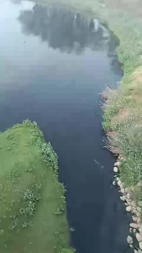 VID-20251206-WA0000(1)