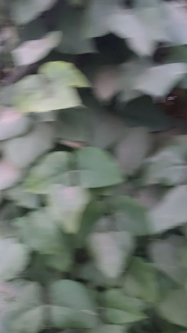 video_20260110_181414