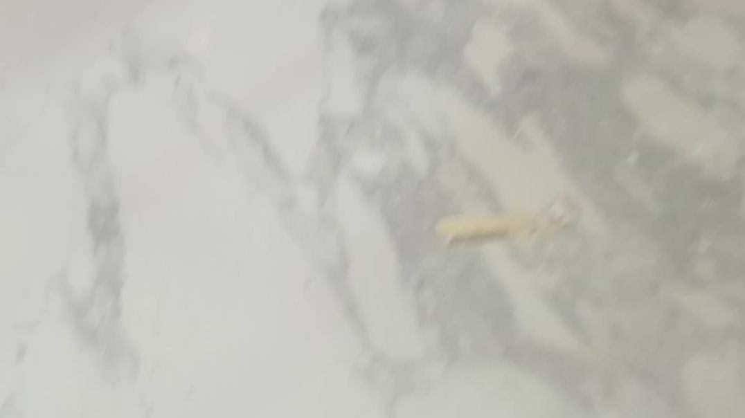 Painter Firoj Mahtha