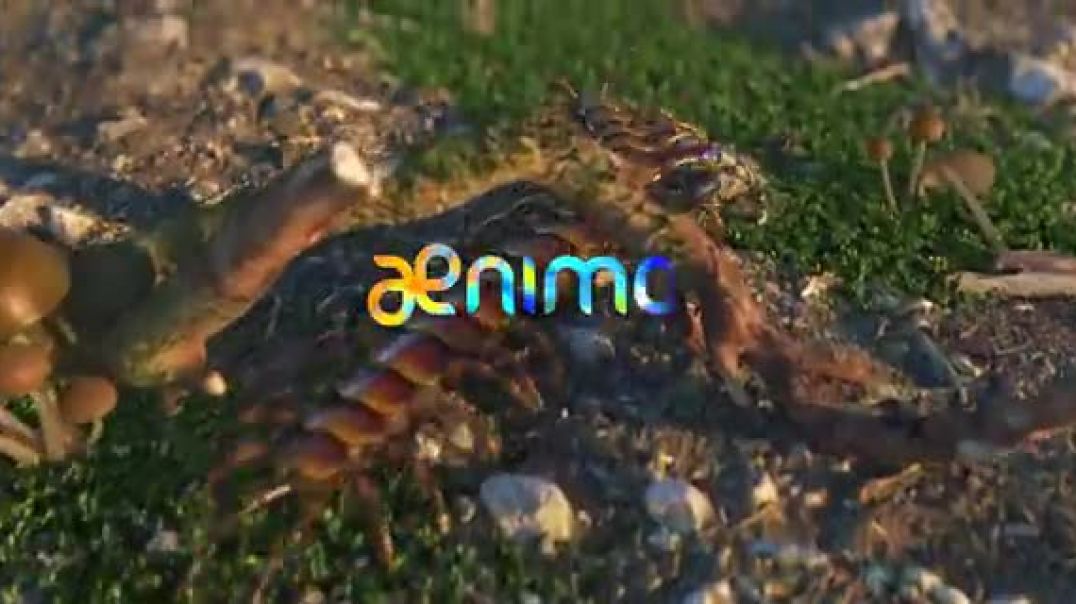 Rexy_and_the_Volcano_-_Funny_Dinosaur_Cartoon_for_Families(360p)