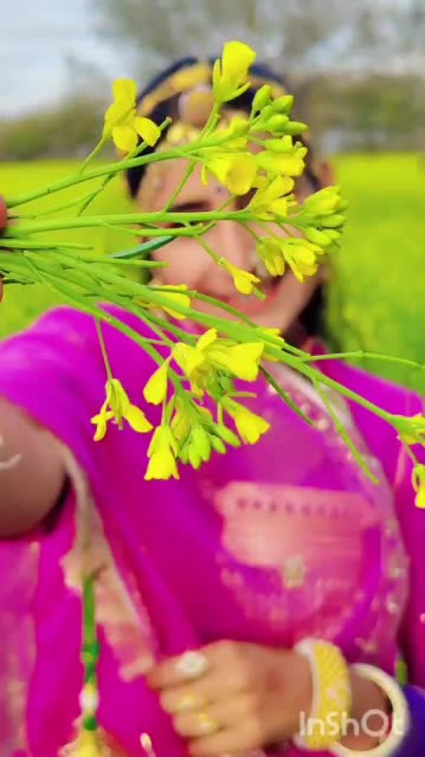 Rajsthani culture video