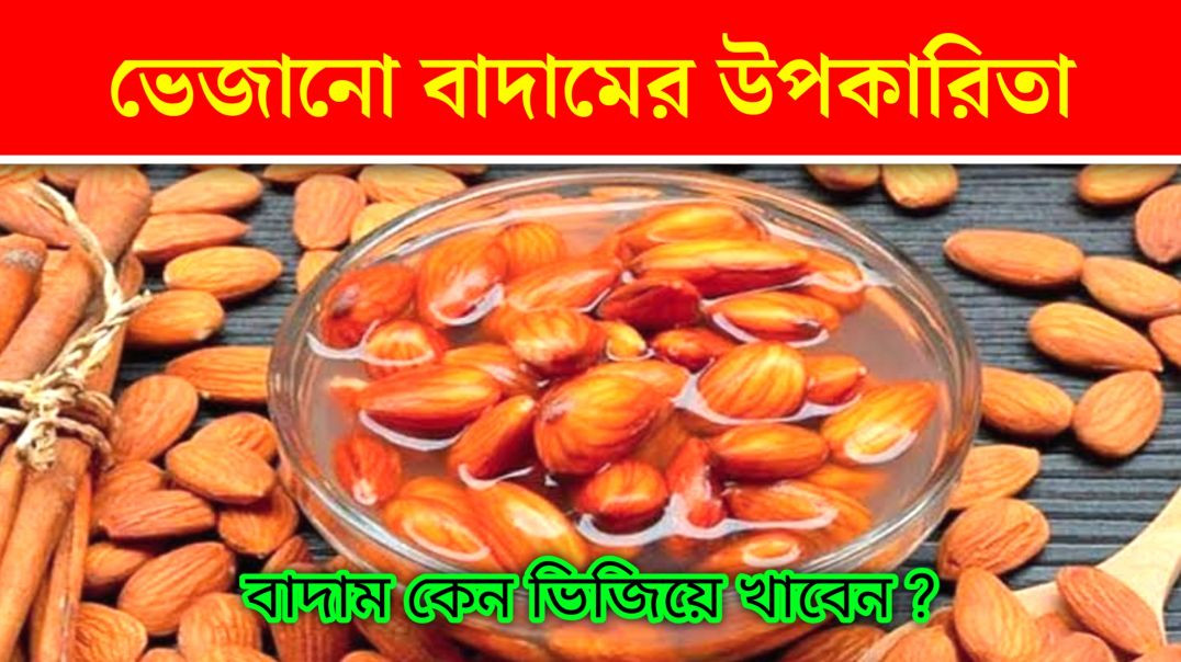⁣বাদাম ভিজিয়ে খাওয়ার গুণাগুণ কি ? | Benifits Of Nuts