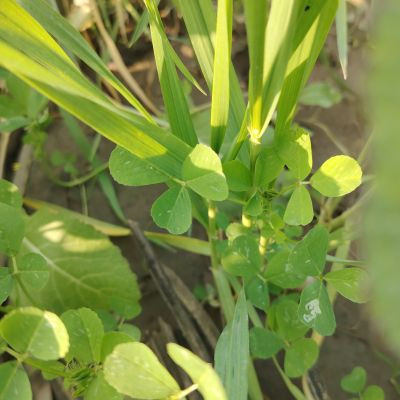 106623163939156636595 