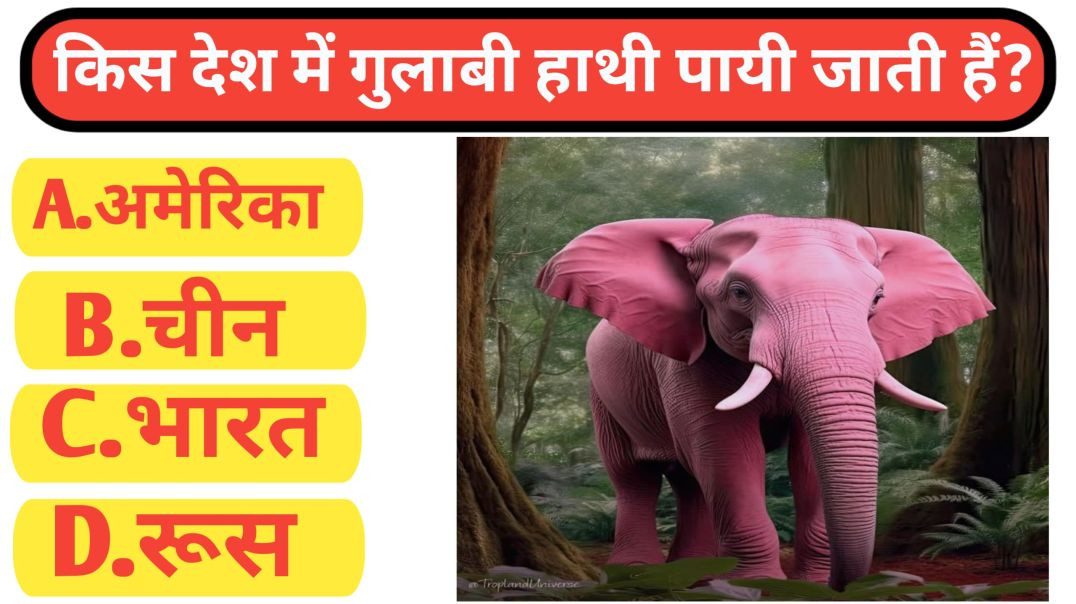 ⁣GK question❓ किस देश में गुलाबी हाथी पायी जाती हैं @MrVivek_Tech
