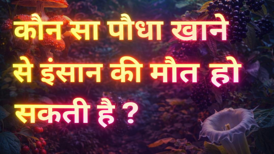⁣कौन सा पौधा खाने से इंसान की मौत हो सकती है|Atoplay Gk Knowledge Channel| IPS GK| IAS GK