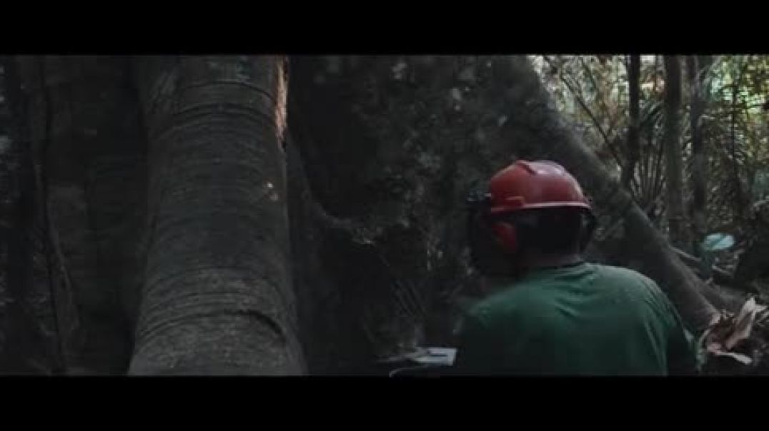 ⁣The-Train-of-Death-(2024)-Hindi-Dubbed-Movie--360p-[Orgmovies]