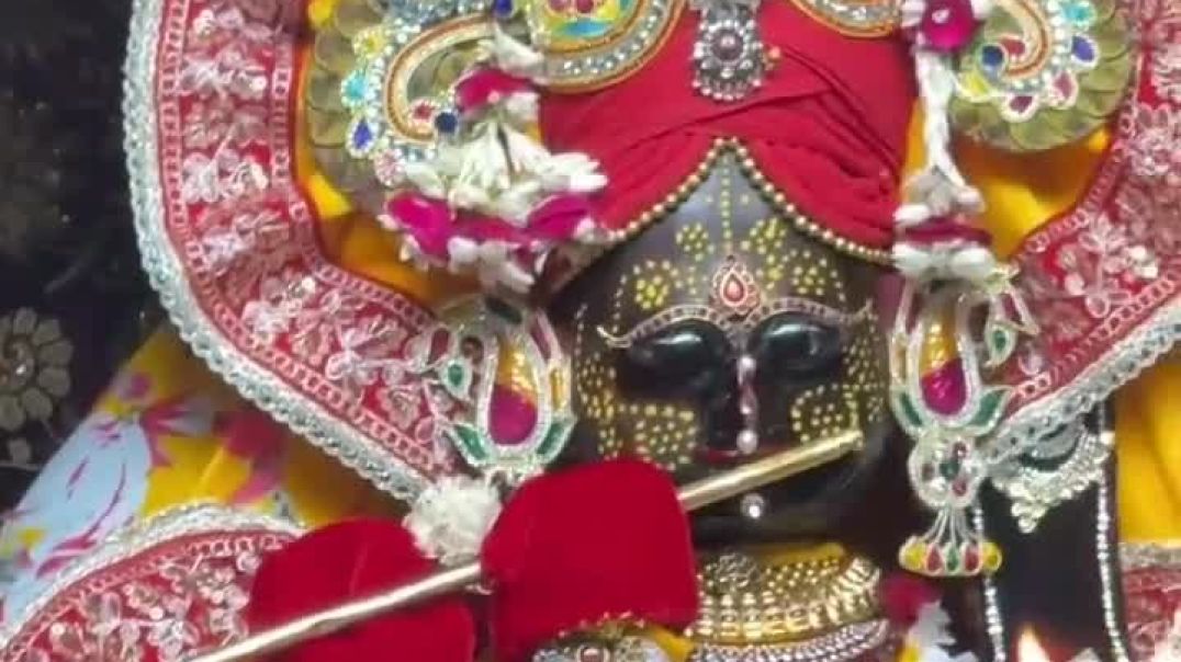 श्री_राधावल्लभ_लाल_🙇‍♂️🕊___radheradhe__vrindavandham🌹🌷♥️🌸🌺👏🙏__radhavallabh__radhakrishna__premanandm