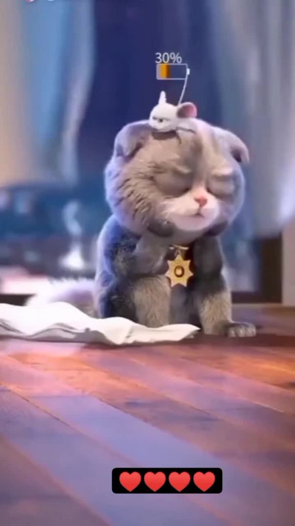 सीधा_दीपे_वार_करेंगे_☺️☺️☺️☺️☺️☺️_#cat_#viral_#video_#trending__#instagram__#kate_#cute