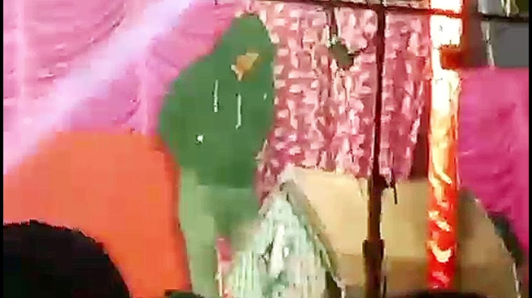 ⁣Baghwa Jila Ke Baratiya #dance #reels #shorts #india