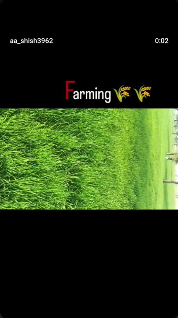 VID_20260122_023546_155