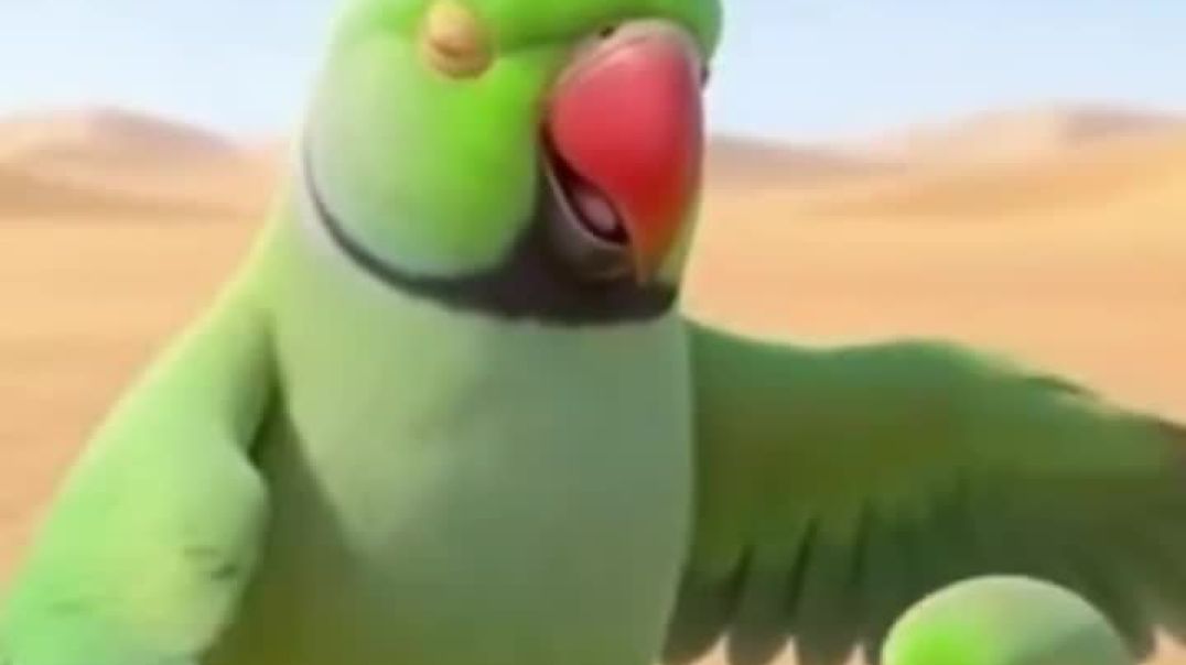 VID_20251231_011201_149