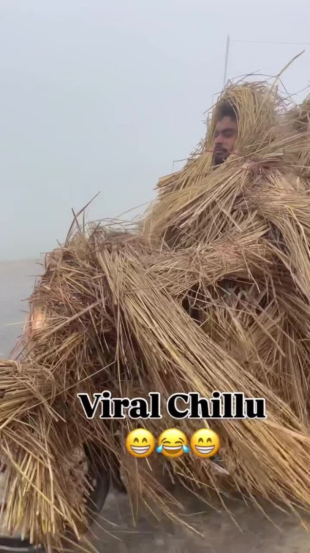 Entertainment comedy video meet bhai 😁