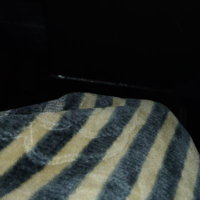 109646634883248832759 