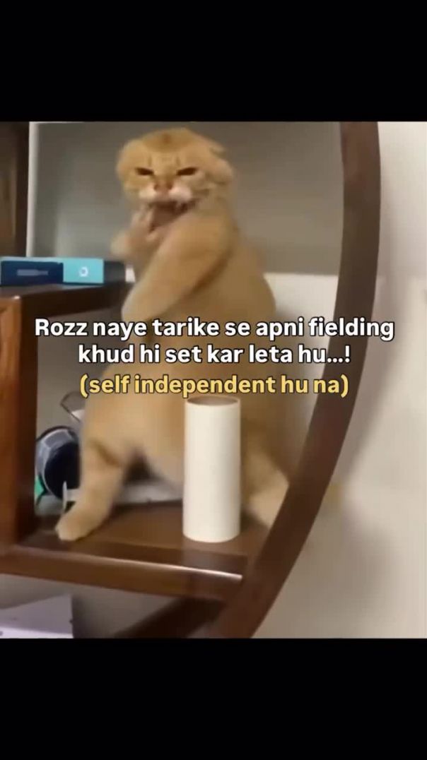 instagram_1768448190513(720p)