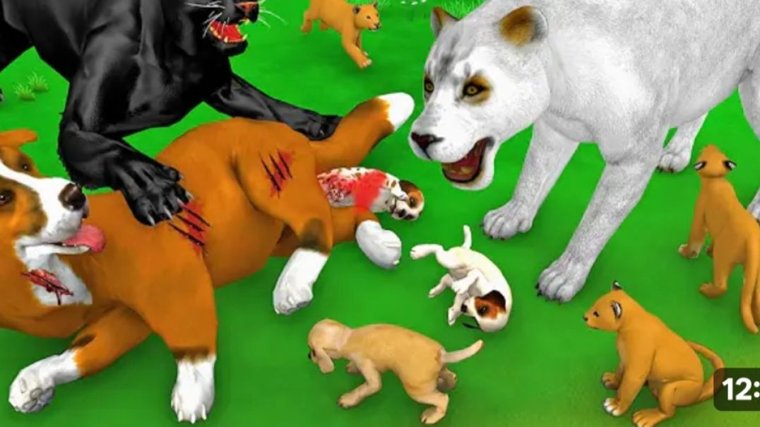 ⁣अनाथ कुत्ते के बच्चे और सफ़ेद शेरनी