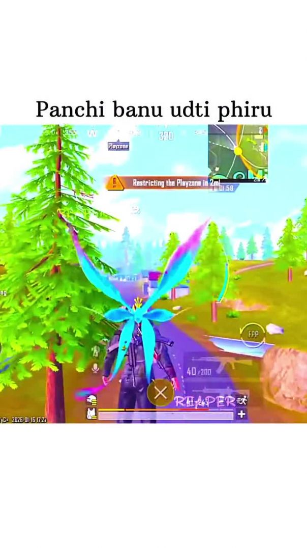 Panchi_banu_udti_phiru🐦🕊️_