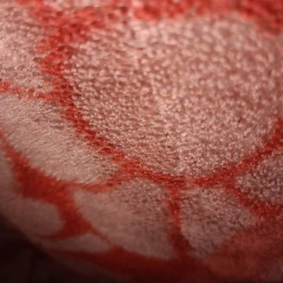 100591461061831387301