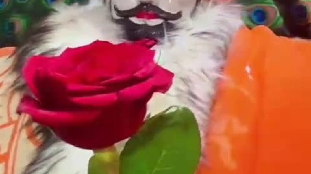 ⁣Khatu shyam ji ❤️🥰