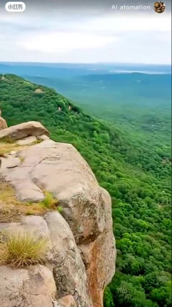 जंगल मे शेर की  कहानियां