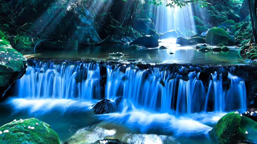 ⁣Relaxing Music With Beautiful Nature