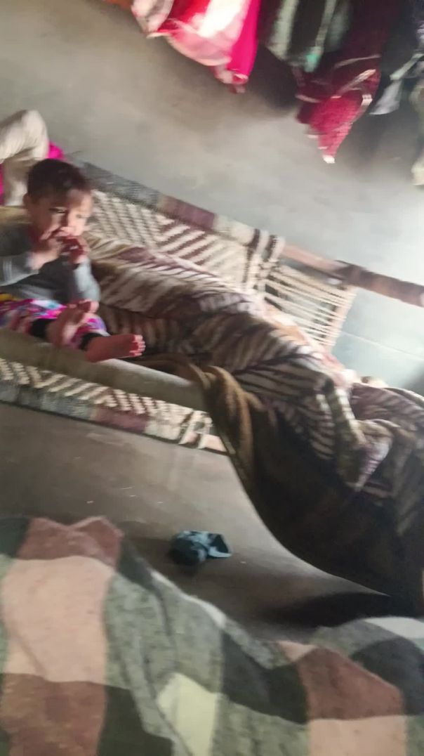 video_20251127_153442