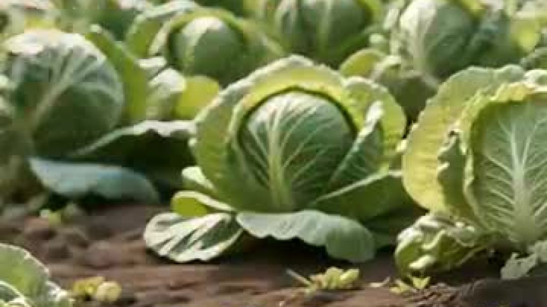 ⁣_storage_emulated_0_Android_data_com