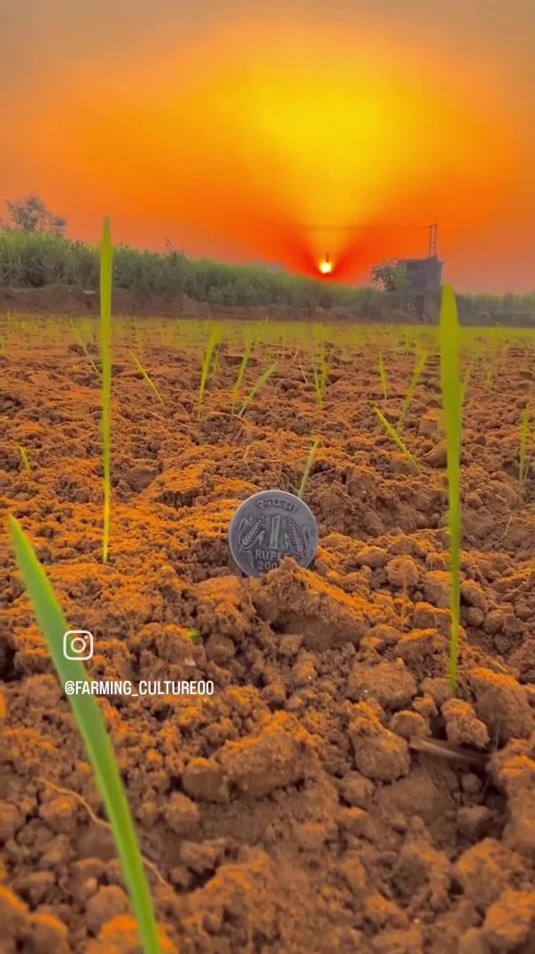 VID_20260127_020359_744