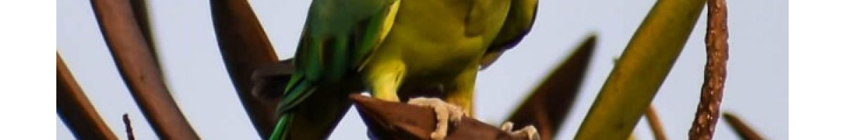 110616755737860618970 