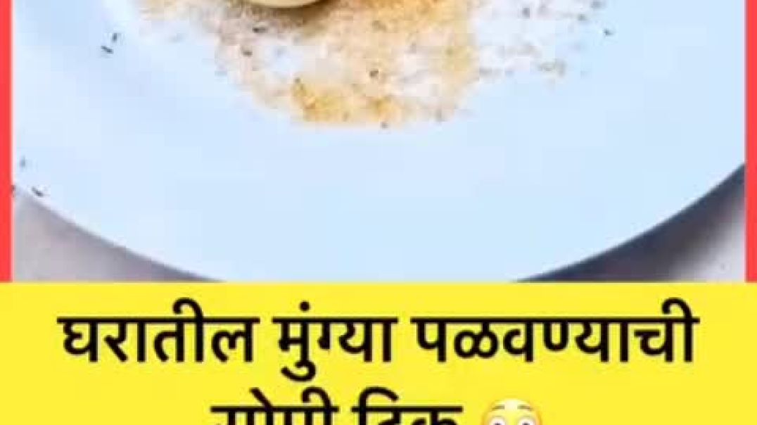 ⁣गुळामध्ये किंवा साखरामध्ये झालेल्या मुंग्या कमी करायची ट्रिक