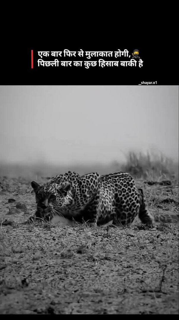 Follow for more 👍❤️____shayri _viral _india _quotes _bhfyp _trending _poetry _sad _lovequotes _write