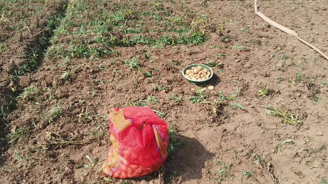 ⁣Aalu ka creator successful hua 2026