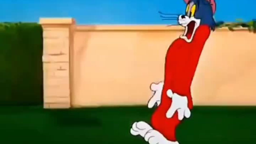 Tom_and_Jerry_Funny_Clip_720P