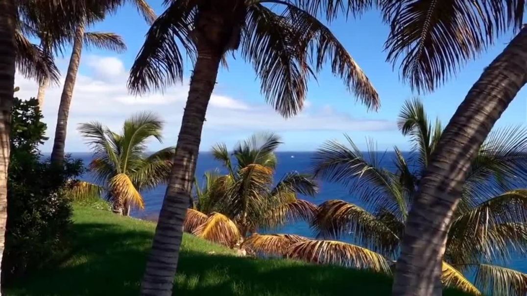 ⁣Relaxing Music For Stress Relief, Anxiety and Depressive States • Heal Mind, Body and Soul