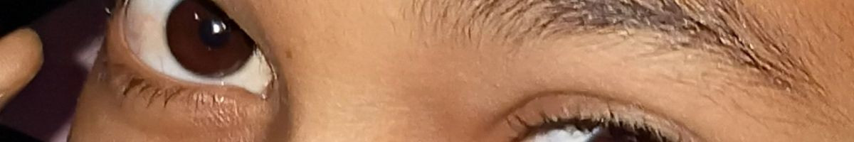 104060249489154446026 