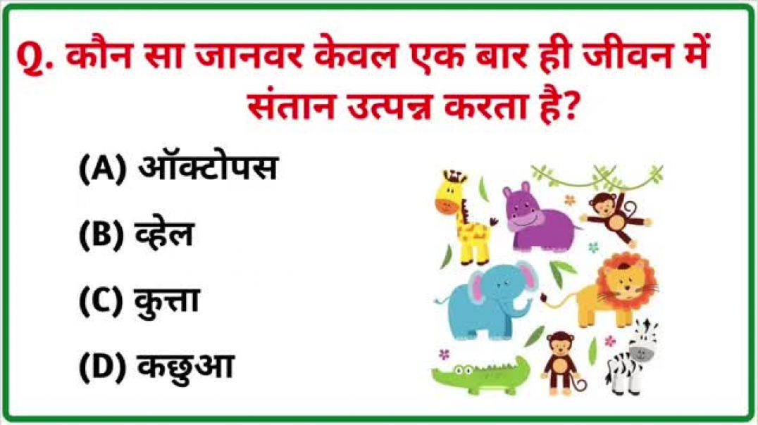 ⁣GK || GK Question || GK In Hindi || GK Question and Answer || GK Quiz