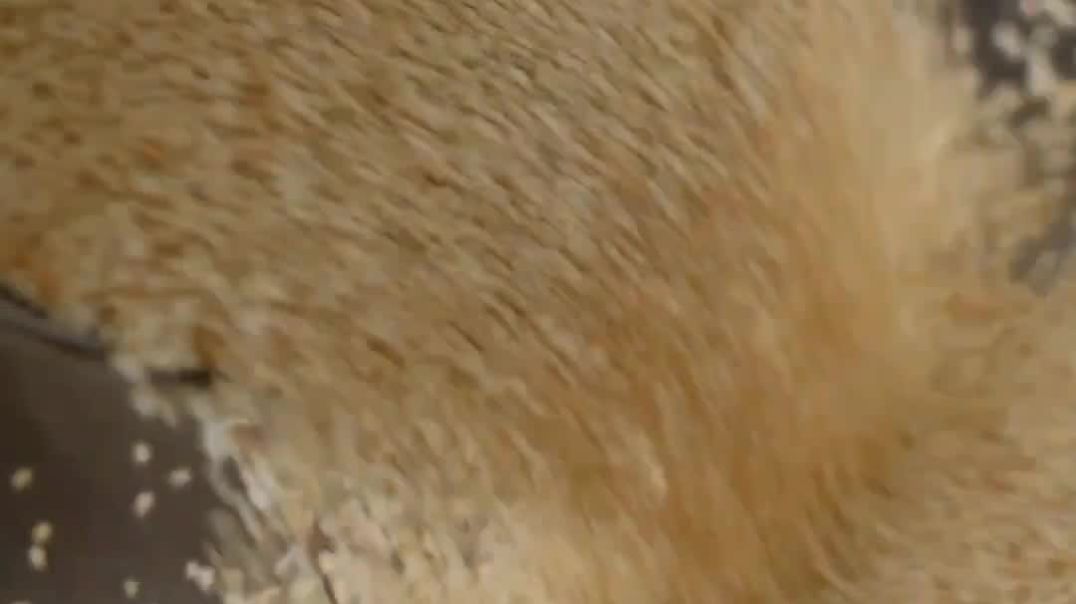 ⁣Calcium Iron se bharpur Til Mawa Roll