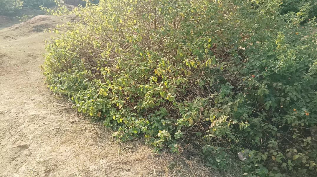 ⁣5 10 views को समस्या दूर केसे करें 2026