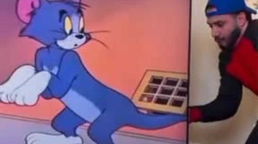 ⁣Tom funny videos 😂