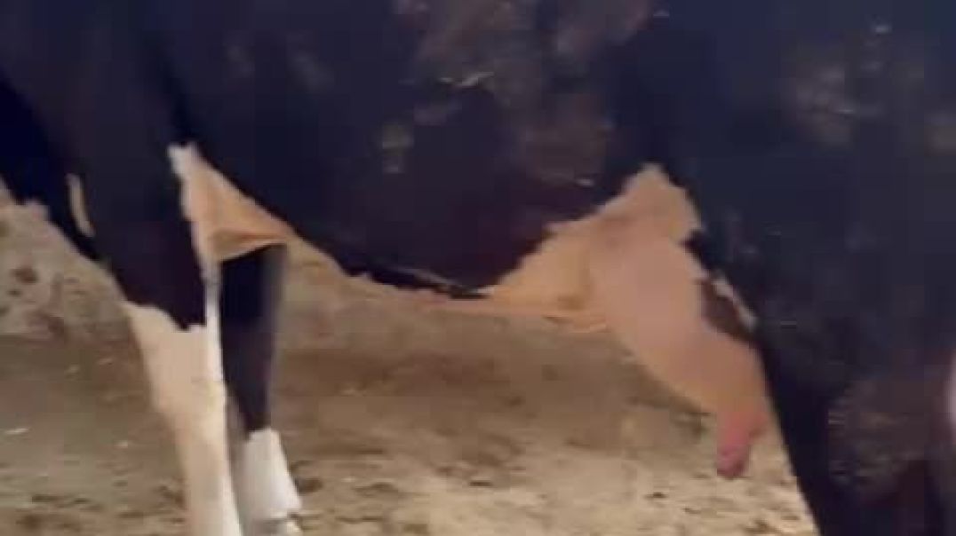 ⁣VID-20251109-WA0077