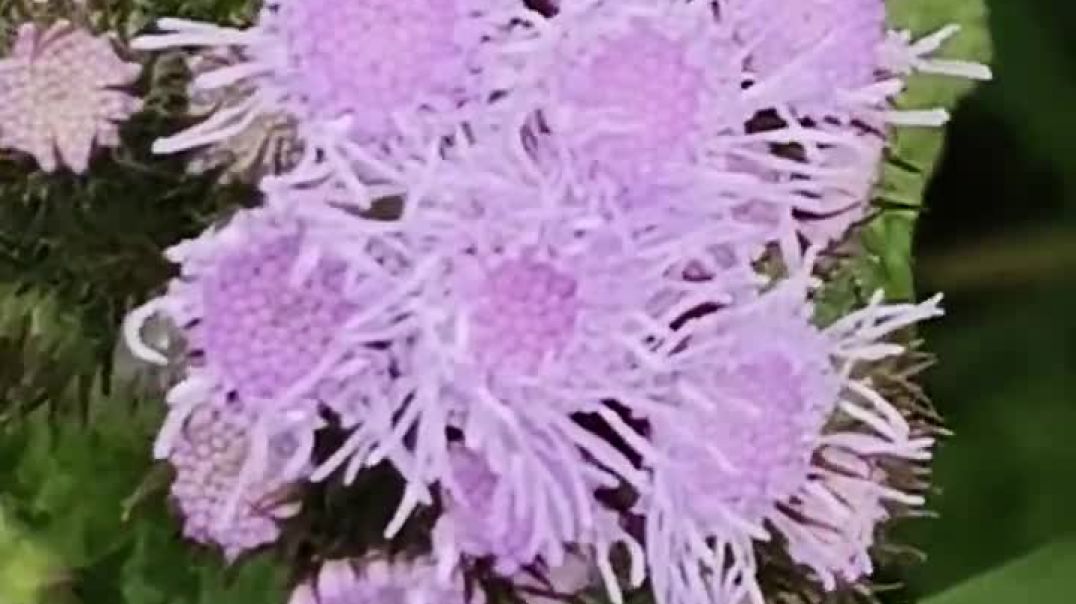 ⁣My New Blog Support karo mai bhi karunga